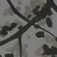 albero